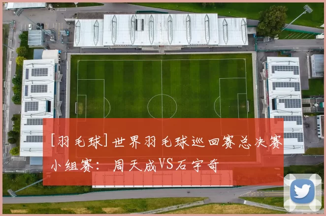 [羽毛球]世界羽毛球巡回赛总决赛小组赛：周天成VS石宇奇