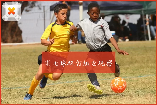 羽毛球双打组合观察