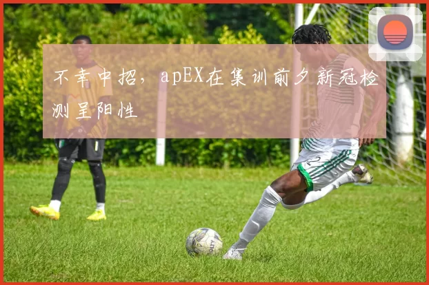 不幸中招，apEX在集训前夕新冠检测呈阳性