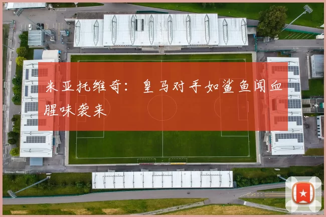 米亚托维奇：皇马对手如鲨鱼闻血腥味袭来