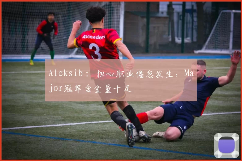 Aleksib ：担心职业倦怠发生，Major冠军含金量十足