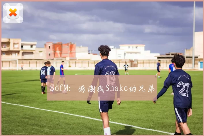SofM：感谢我Snake的兄弟